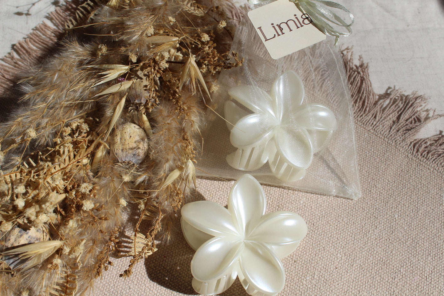 Barrette automne