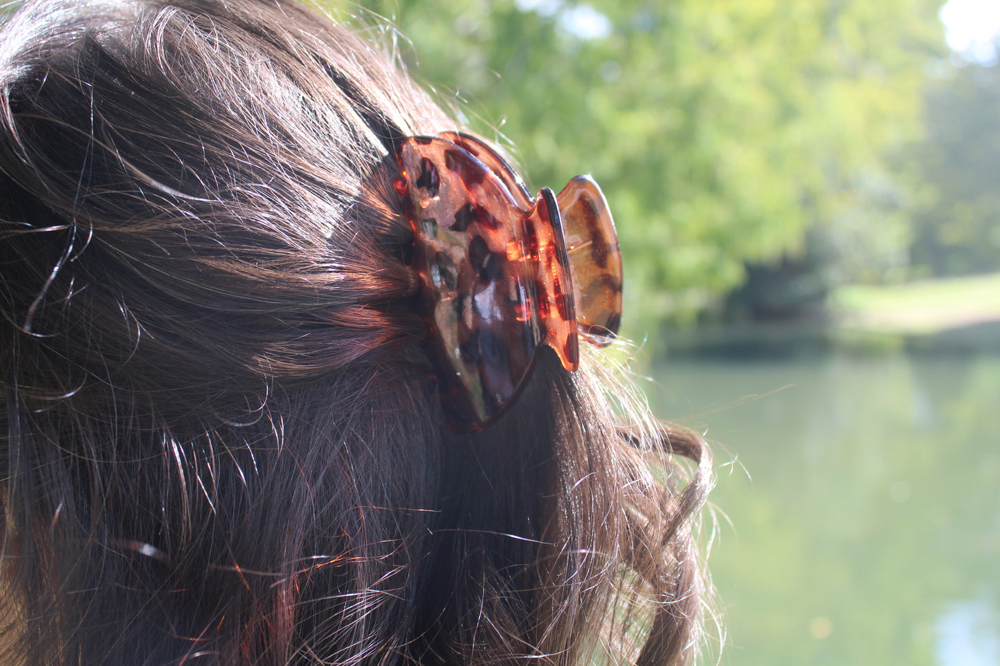 Barrette automne